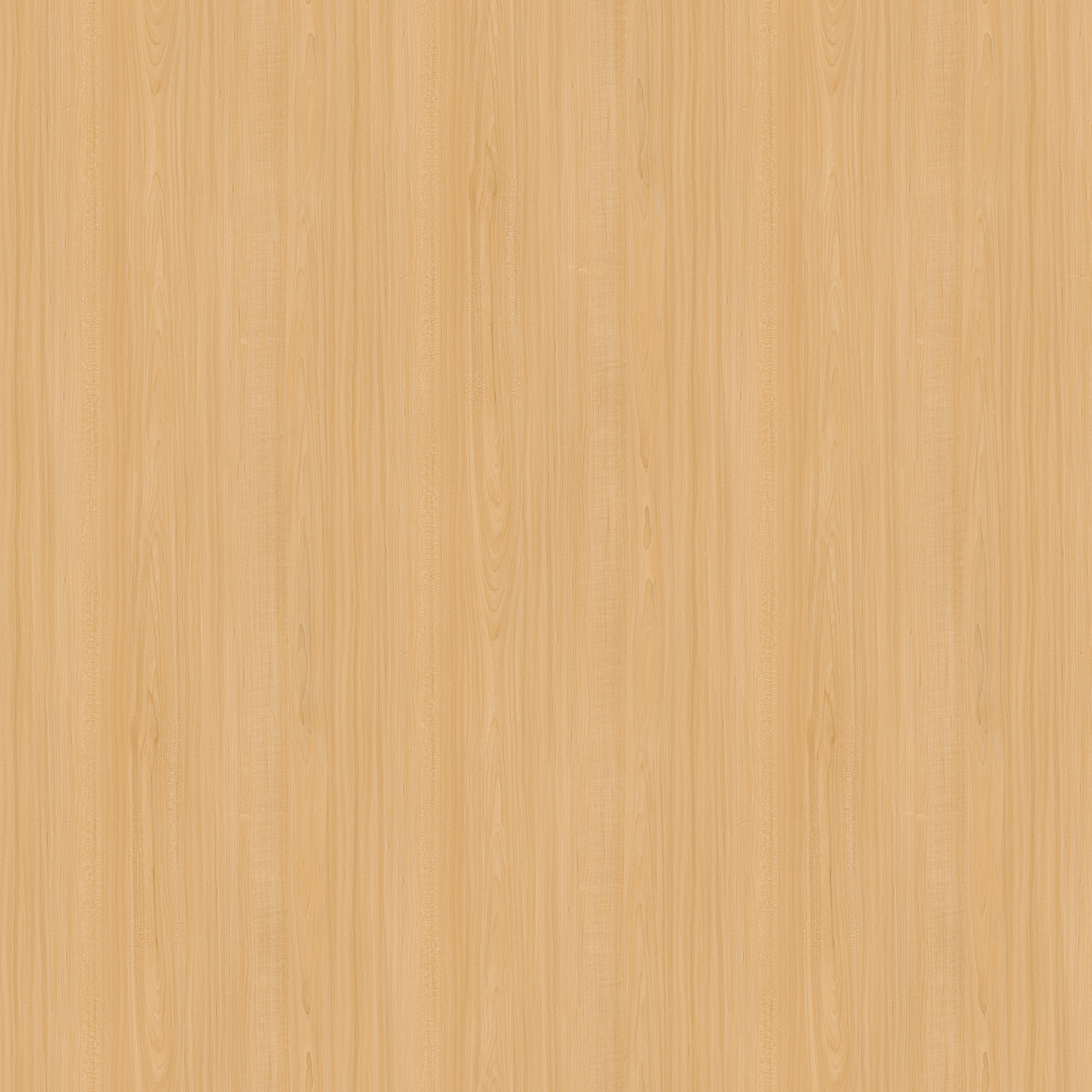 NG-388_2
