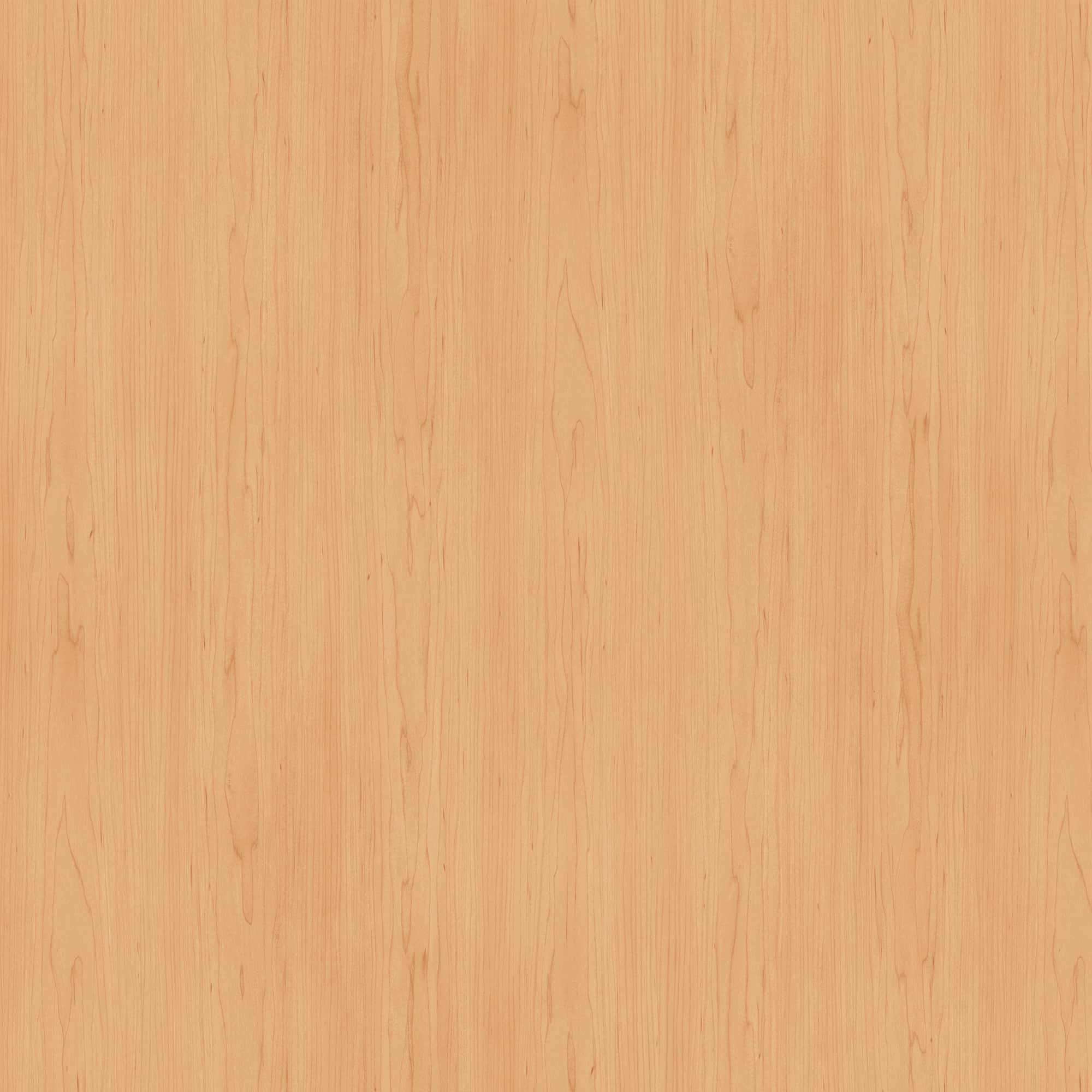 SG-43_2