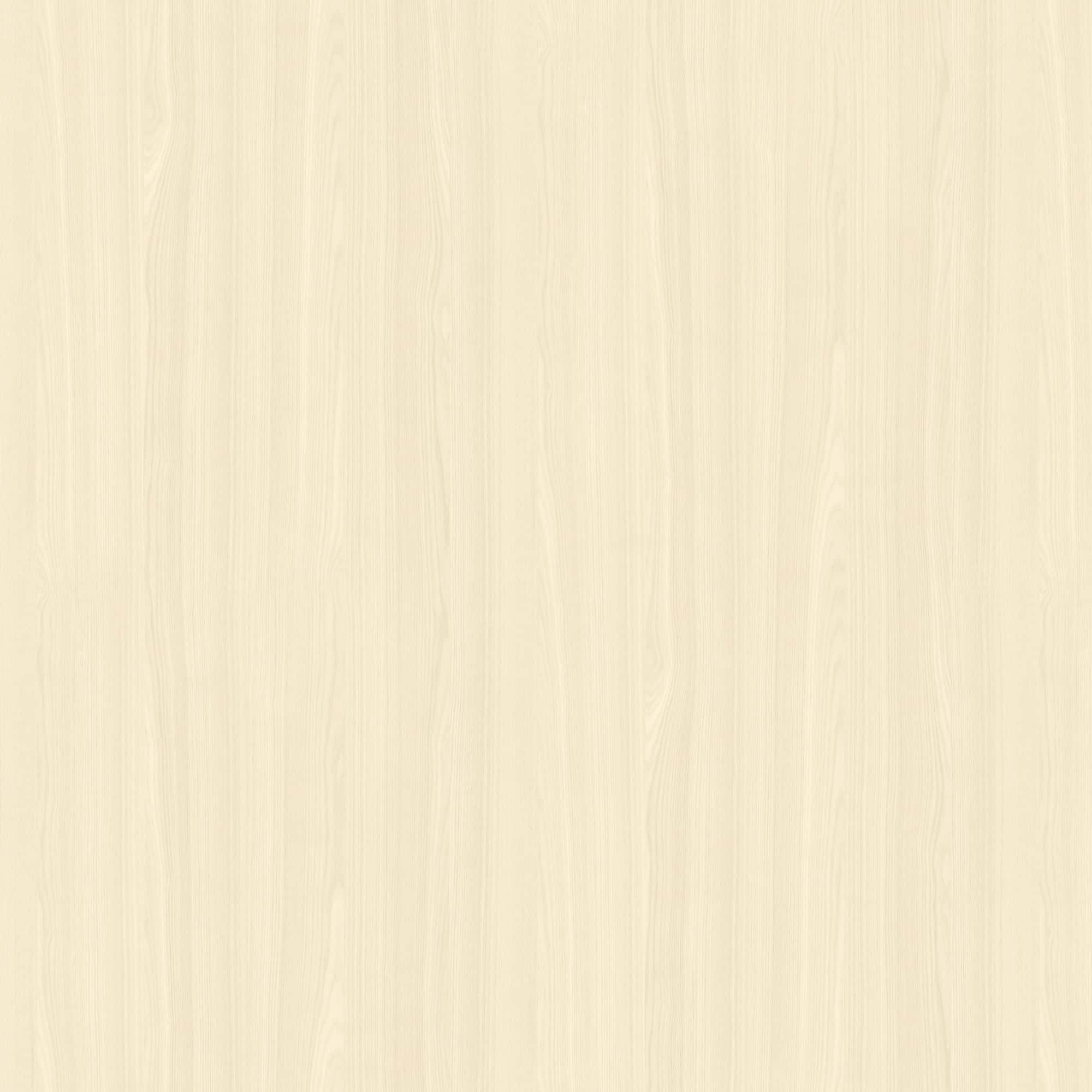 SG-81_2