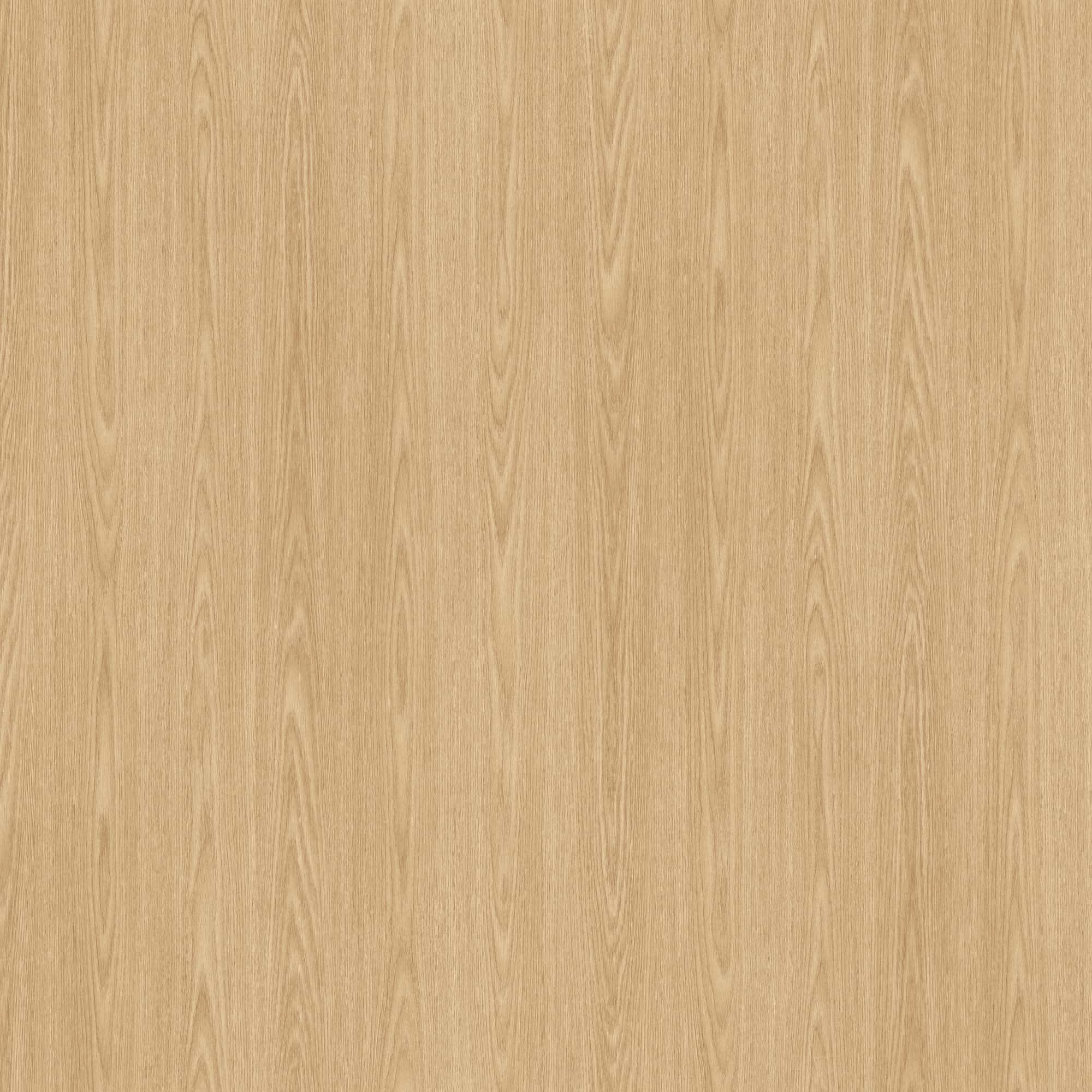 SG-55_2