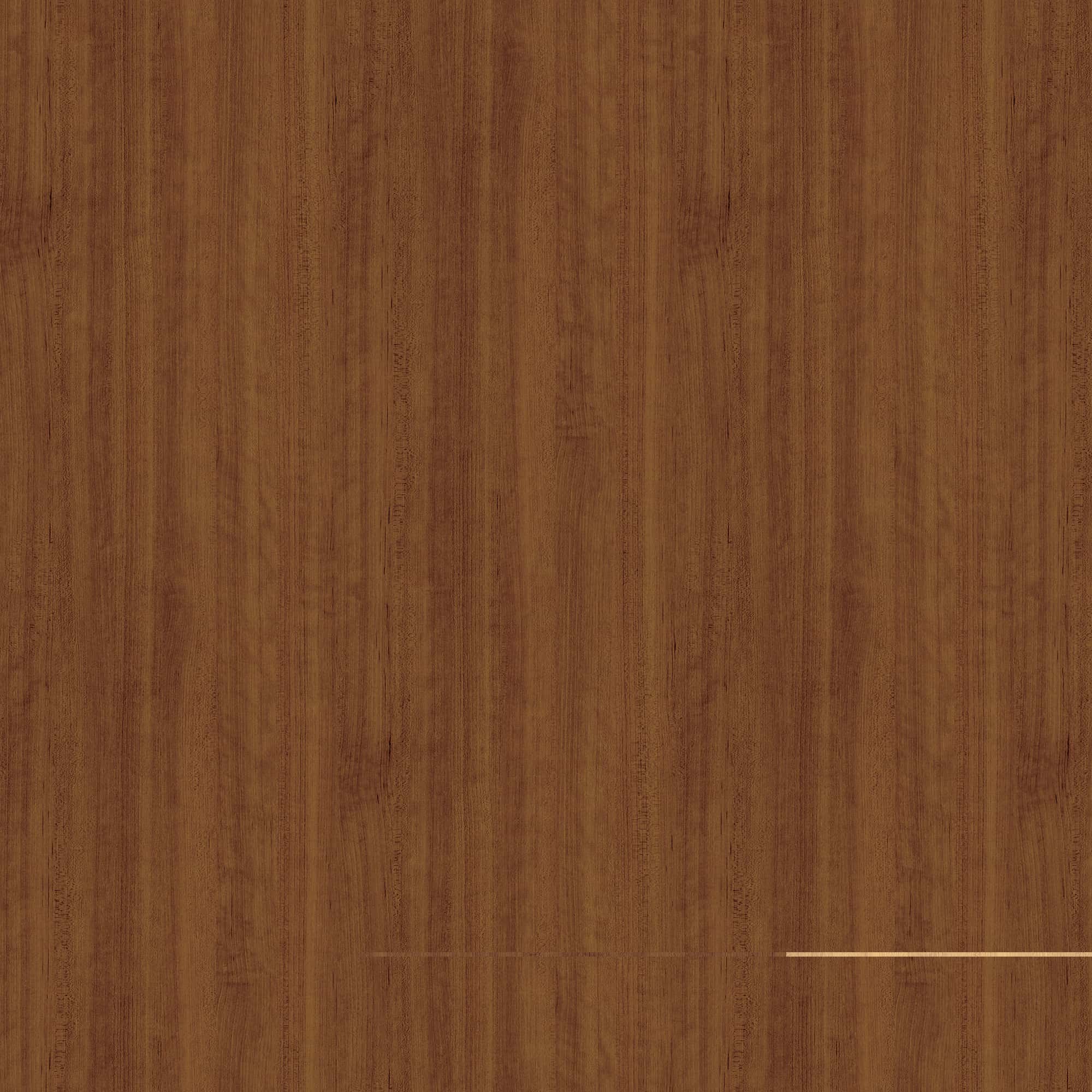SG-31_2