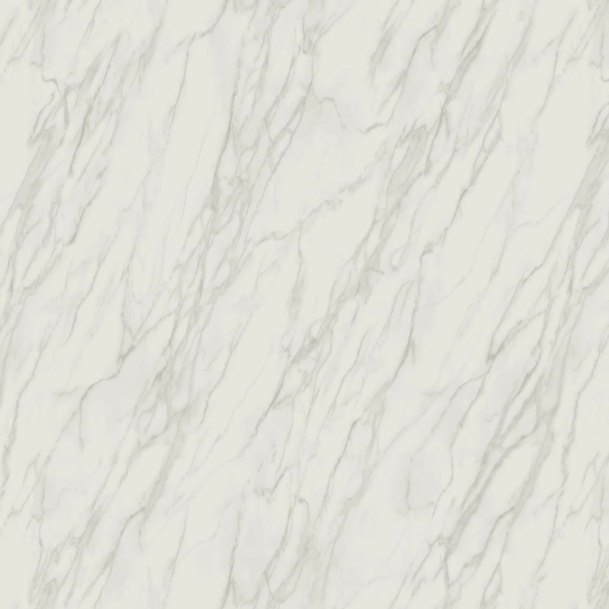 BG-8006_2