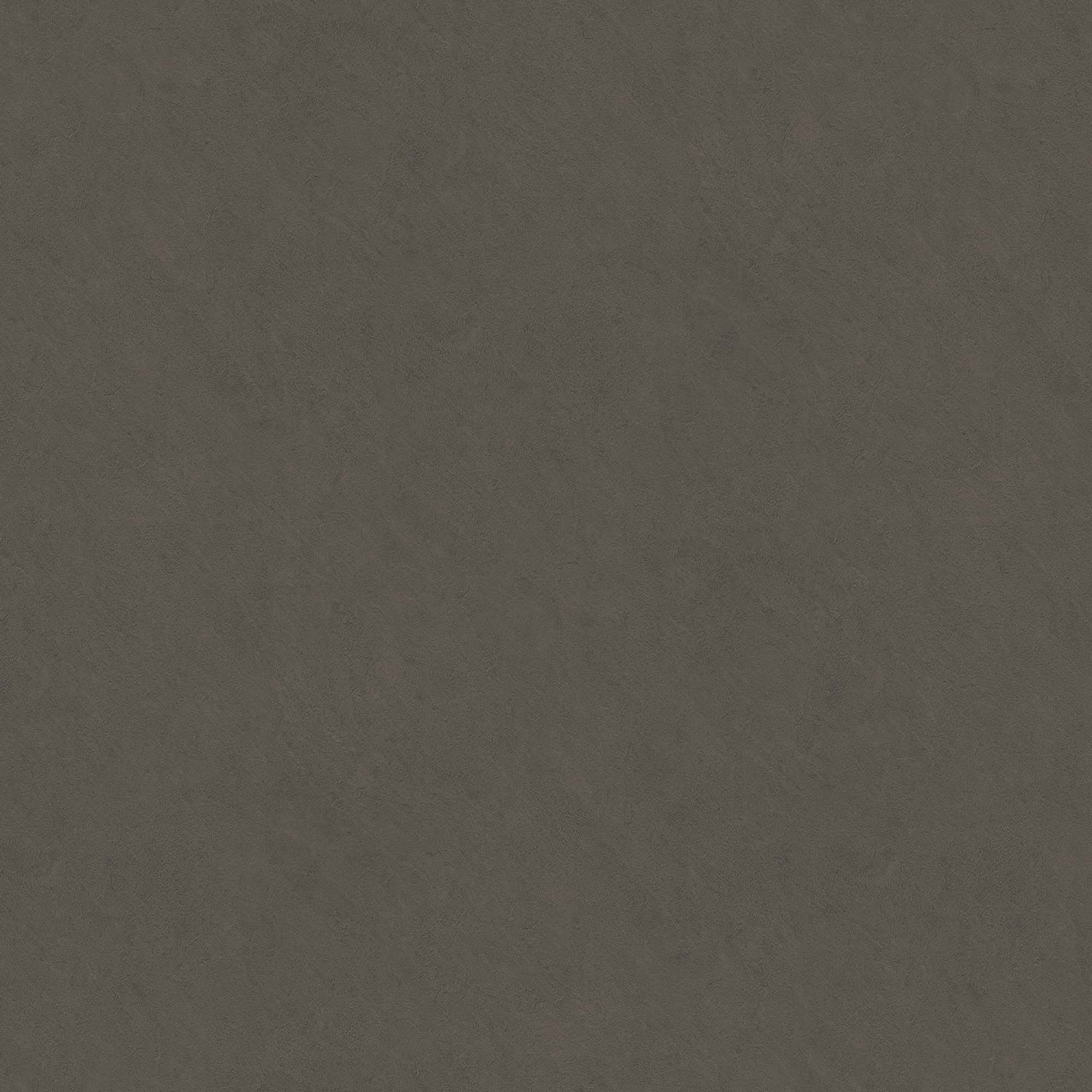 BG-8004_2